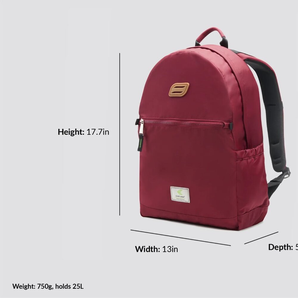 Cariuma Bordeaux JJ Backpack/NWT - Picture 5 of 16